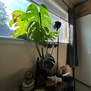 Meet your Posher, Macy